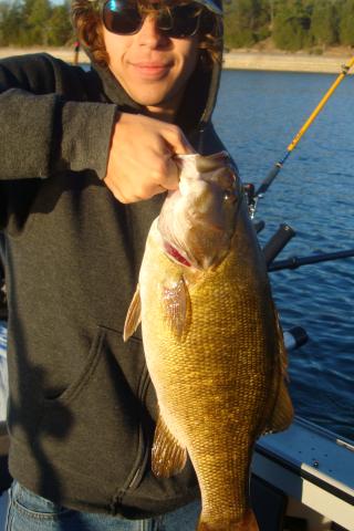 Dale Hollow Lake Fishing Guides 